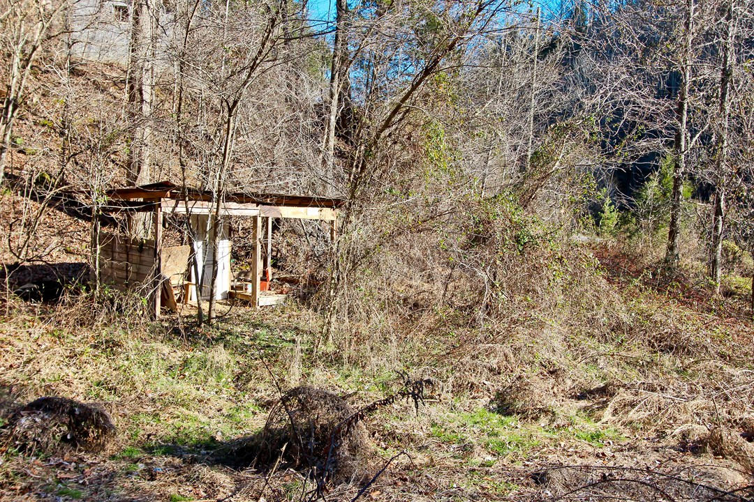 4401 Wilhite Road Cosby, TN 37722 - Photo 28 of 28 IMG_9383