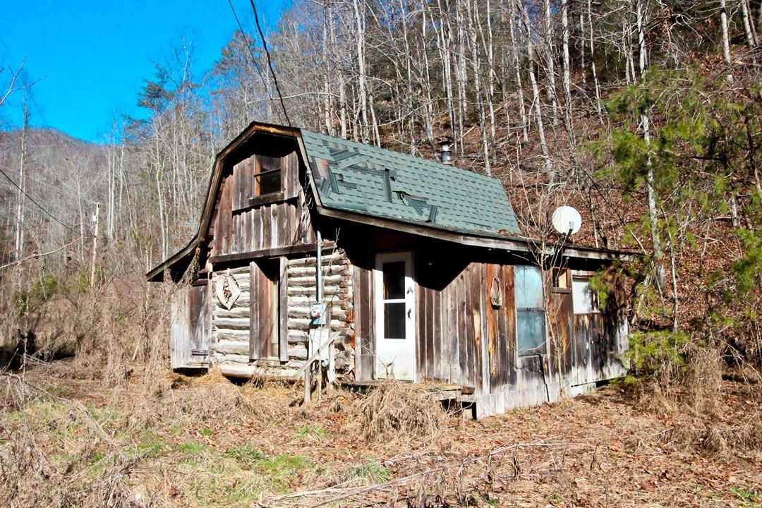 4401 Wilhite Road Cosby, TN 37722 - Photo 6 of 28 IMG_9355