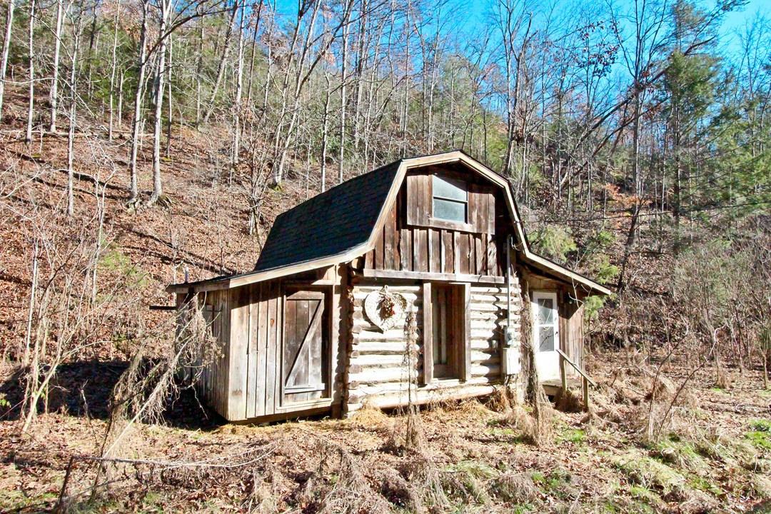 4401 Wilhite Road Cosby, TN 37722 - Photo 7 of 28 IMG_9356