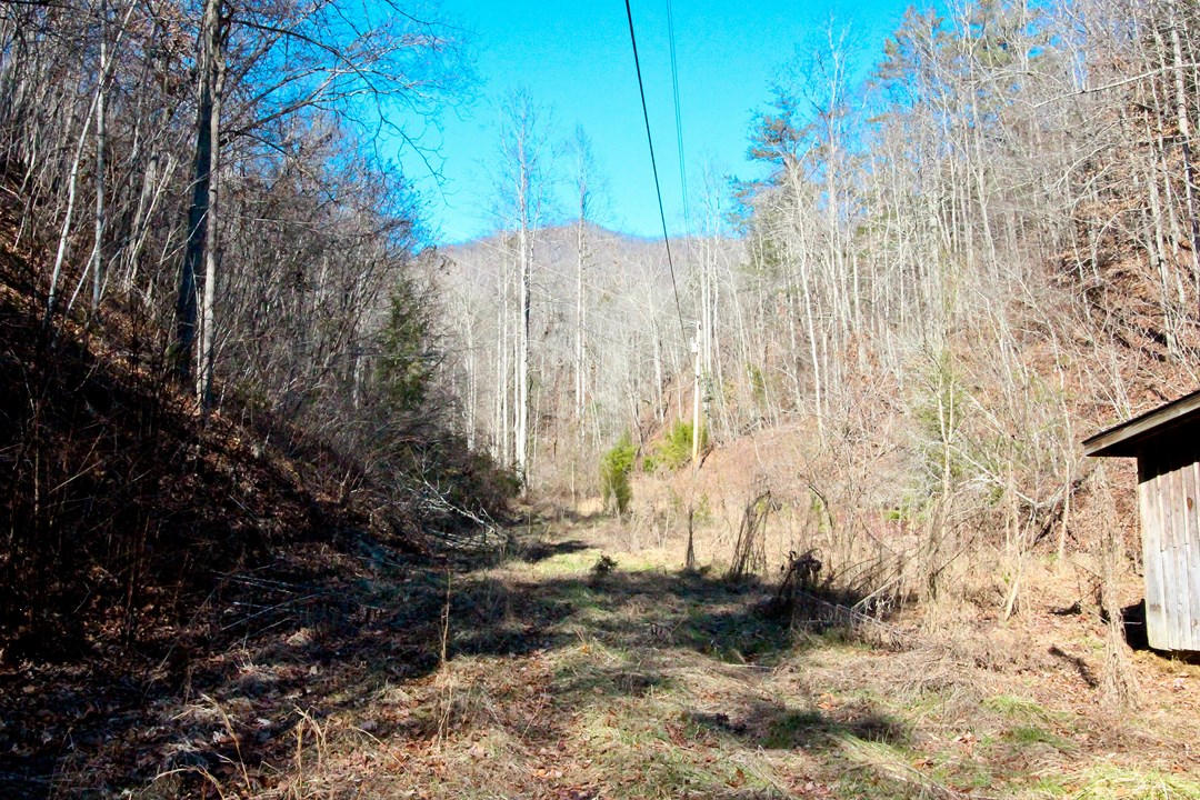 4401 Wilhite Road Cosby, TN 37722 - Photo 10 of 28 IMG_9359