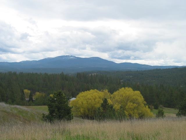 37505 North Valley Road Elk, WA 99009 - Photo 3 of 19