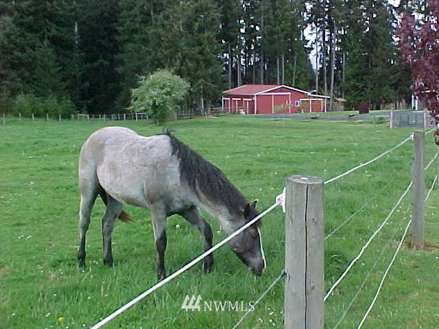 223 Walter Road Winlock, WA 98596 - Photo 5 of 15