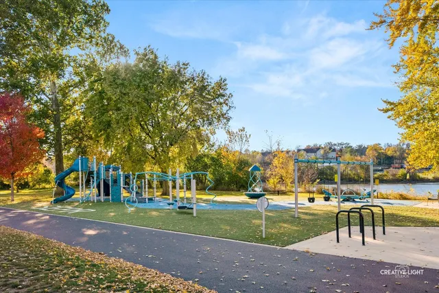 a view of a park with large trees