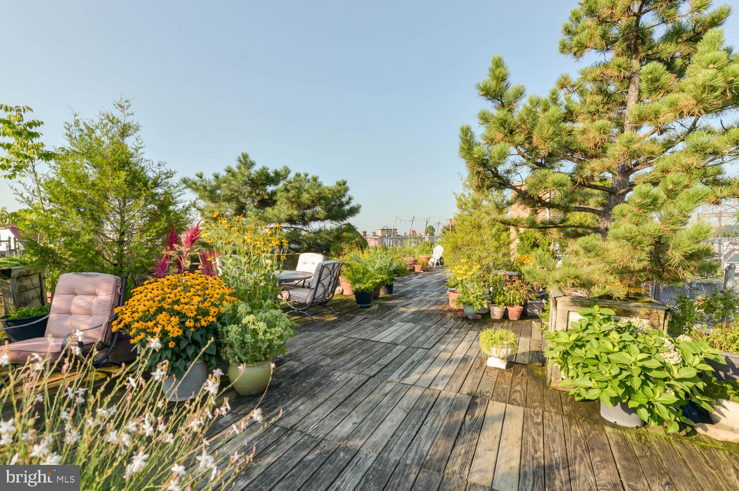 2707 Adams Mill Road Northwest, Unit 309 Washington, DC 20009 - Photo 22 of 40 Gallery Image 22
