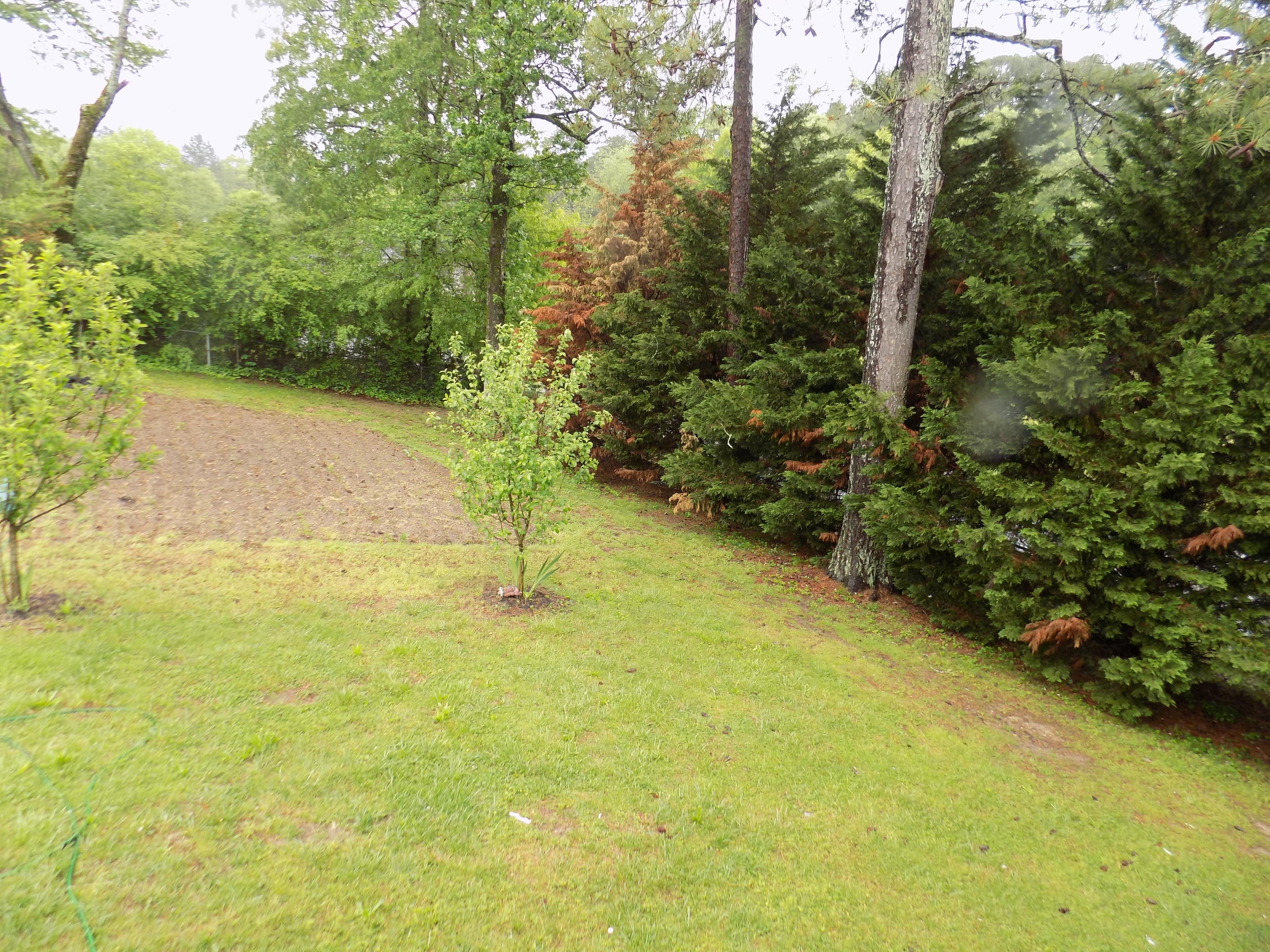 628 Corbley Road Rossville, GA 30741 - Photo 20 of 22 2020-04-14 22.29.59