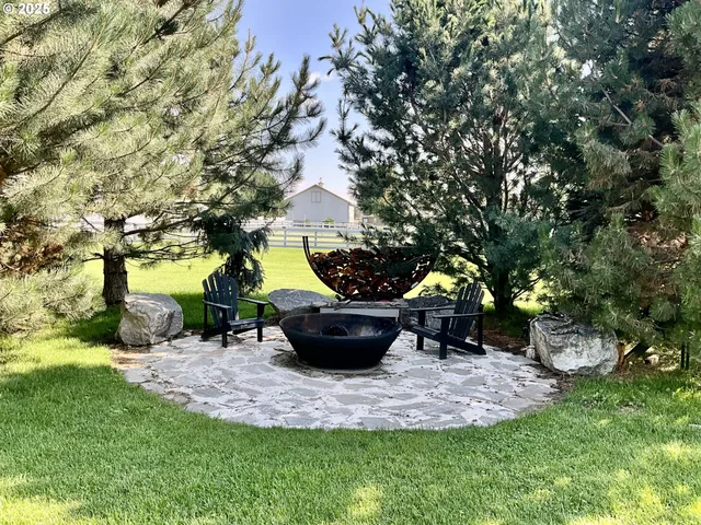 a view of a backyard with plants and a garden