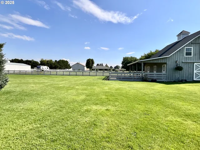 a view of a garden with an outdoor space