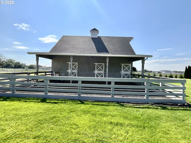 a view of field with tall trees