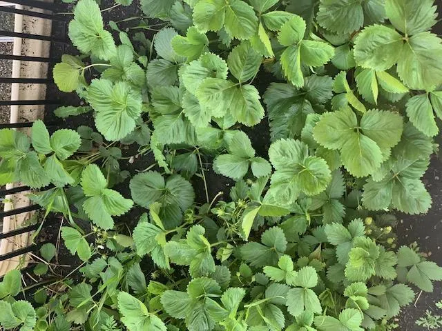 $495,000 | 3037 Claire Drive East, West Fargo, ND 58078