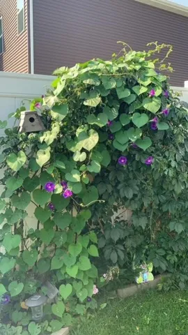 $495,000 | 3037 Claire Drive East, West Fargo, ND 58078