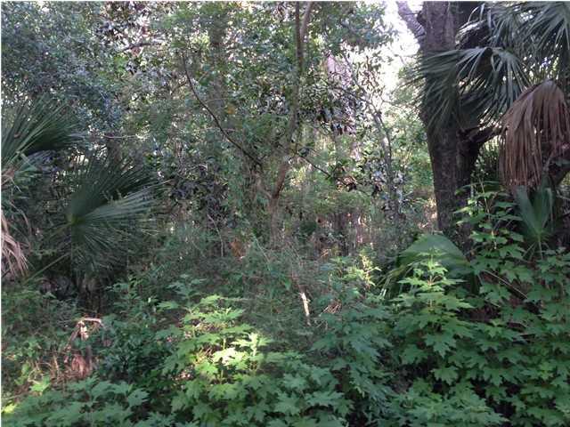 344 Smith Road Apalachicola, FL 32320 - Photo 2 of 6