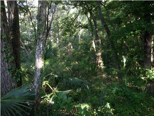 344 Smith Road Apalachicola, FL 32320 - Photo 3 of 6