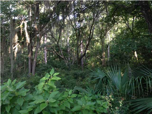 344 Smith Road Apalachicola, FL 32320 - Photo 4 of 6