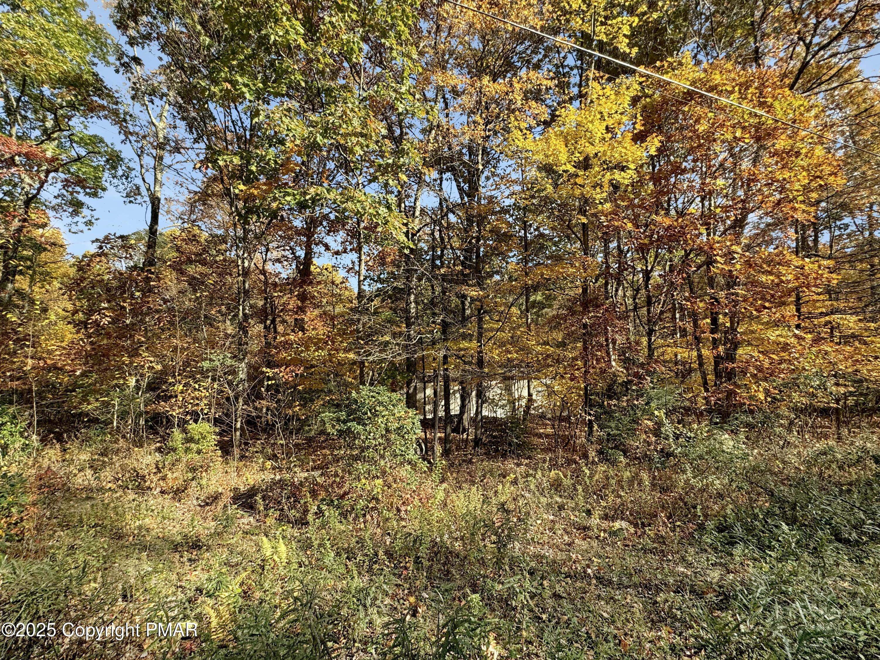 228 Victory Lane Stroudsburg, PA 18360 - Photo 8 of 8