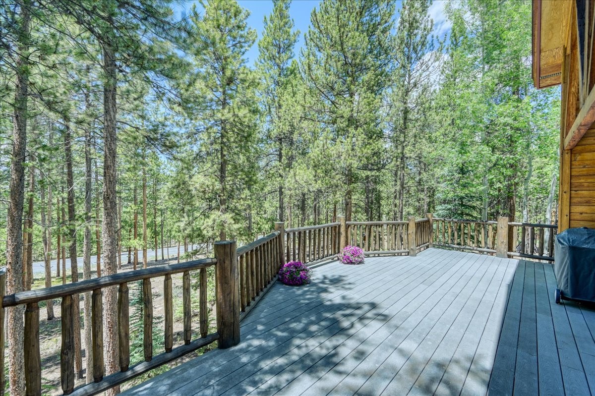 99 Primrose Lane Keystone, CO 80435 - Photo 32 of 38