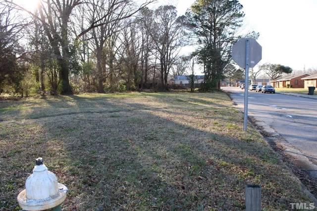 a street view with large trees