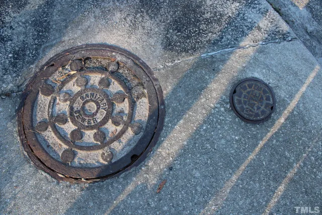 a view of a yard with a trees