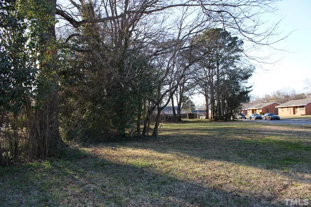 a view of a house with backyard and a tree