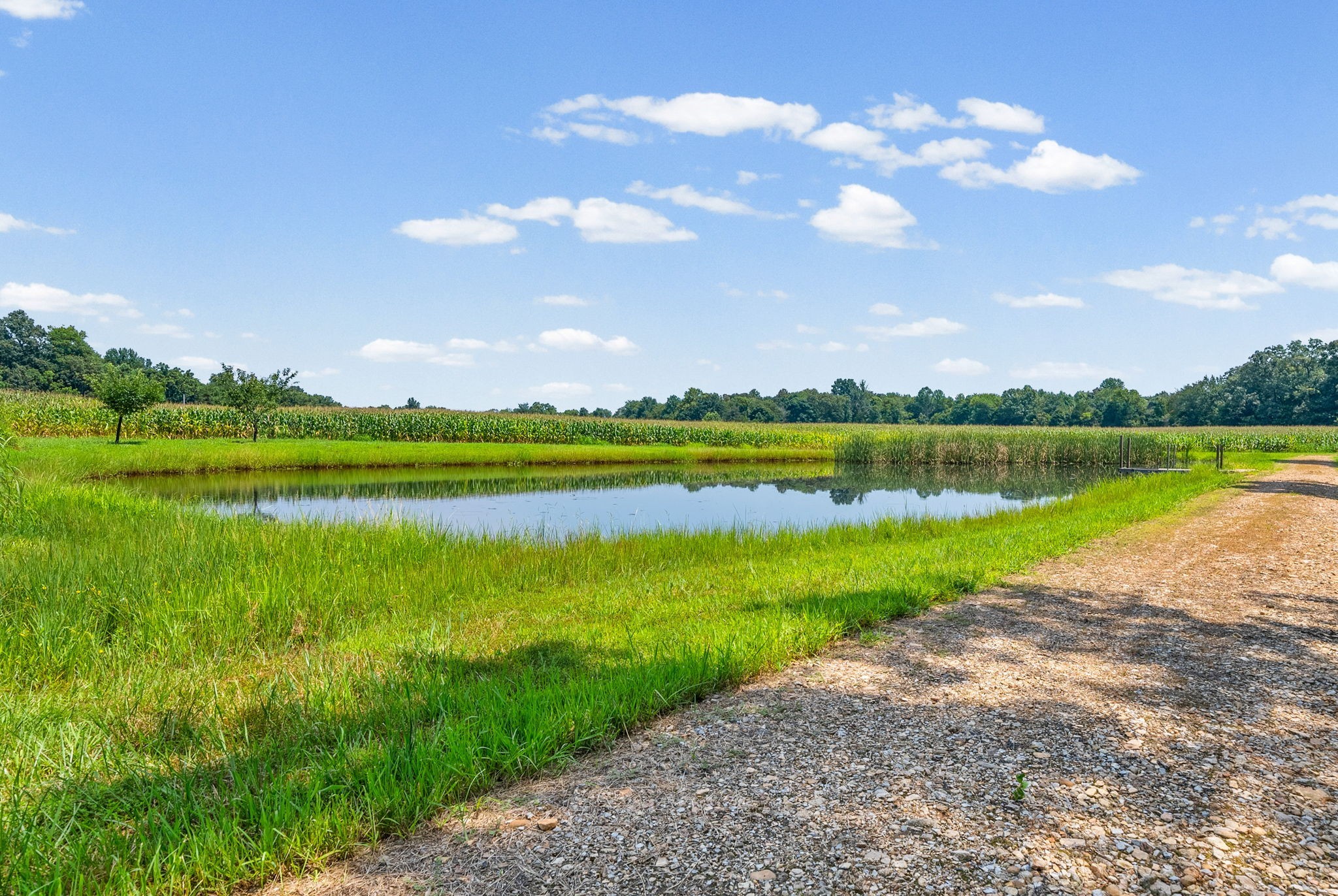 11544 Johnson Mill Road Crofton, KY 42217 - Photo 79 of 91 Gallery Image 79