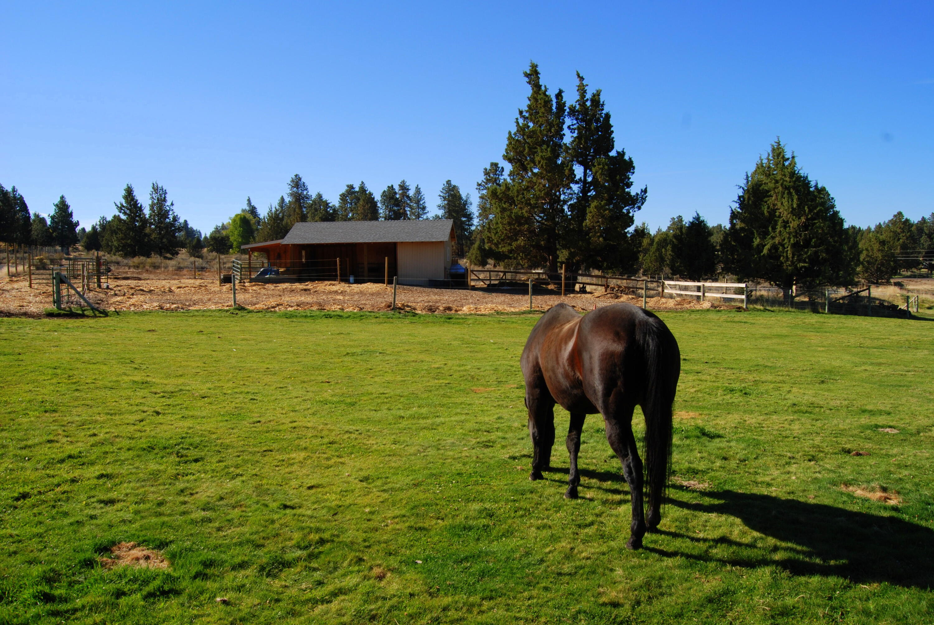 60470 Arnold Market Road Bend, OR 97702 - Photo 45 of 53 Barn with horse