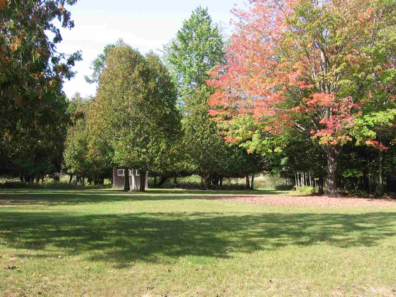 2468 Britt Road Hale, MI 48739 - Photo 8 of 59 1838834-7.JPG