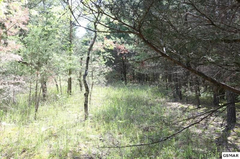 0 Lot 35 Buck Horn Road Sevierville, TN 37876 - Photo 19 of 30