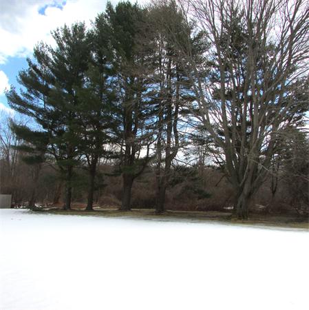 13 Connor Road Beverly, MA 01915 - Photo 27 of 28 Gallery Image 27
