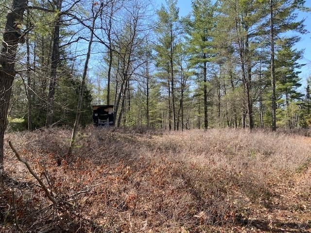 West Ausable Point Road East Tawas, MI 48730 - Photo 25 of 25