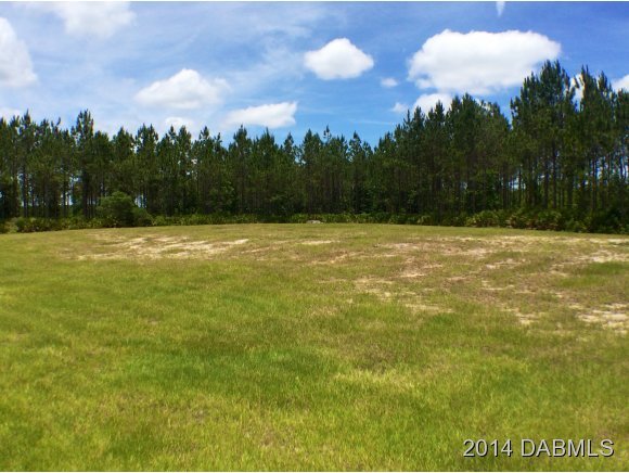 1610 Chesser Hammock Road Pierson, FL 32180 - Photo 11 of 16 Additional Photo