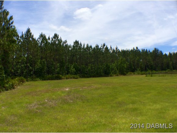 1610 Chesser Hammock Road Pierson, FL 32180 - Photo 12 of 16 Additional Photo