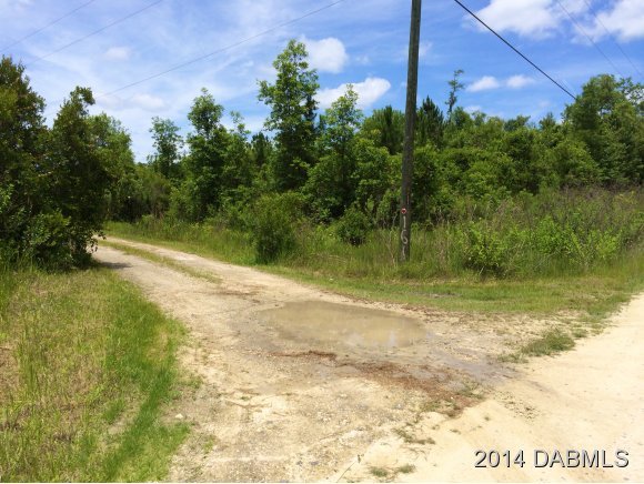 1610 Chesser Hammock Road Pierson, FL 32180 - Photo 15 of 16 Additional Photo