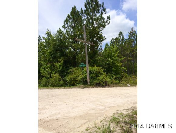 1610 Chesser Hammock Road Pierson, FL 32180 - Photo 16 of 16 Additional Photo
