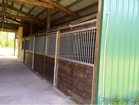 1610 Chesser Hammock Road Pierson, FL 32180 - Photo 5 of 16 Additional Photo