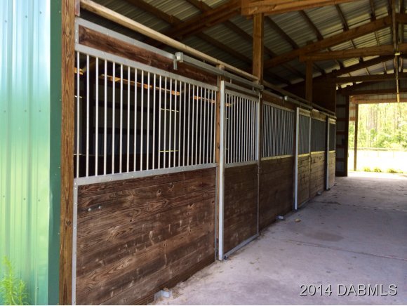 1610 Chesser Hammock Road Pierson, FL 32180 - Photo 6 of 16 Additional Photo