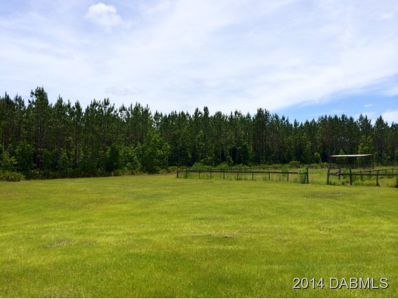 1610 Chesser Hammock Road Pierson, FL 32180 - Photo 9 of 16 Additional Photo