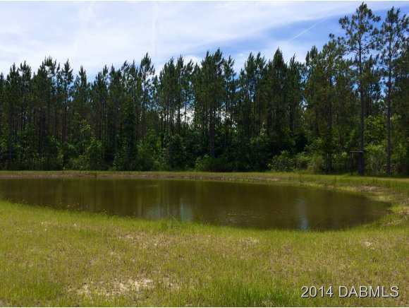 1610 Chesser Hammock Road Pierson, FL 32180 - Photo 10 of 16 Additional Photo