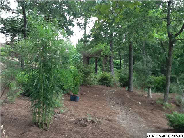 136 Cliff Road Sterrett, AL 35147 - Photo 24 of 26