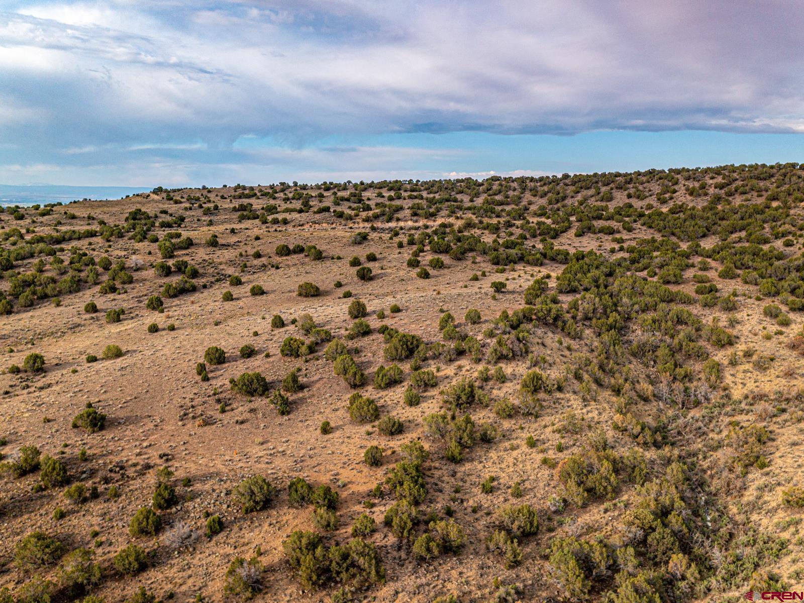 Lot 3 Oak Creek Road Eckert, CO 81418 - Photo 8 of 14 an aerial view of houses with trees