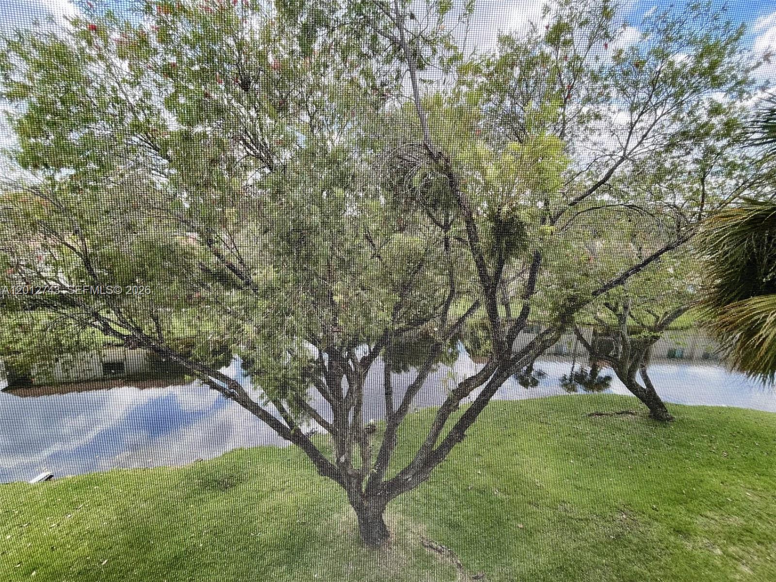 491 Racquet Club Road, Unit 303 Weston, FL 33326 - Photo 37 of 47