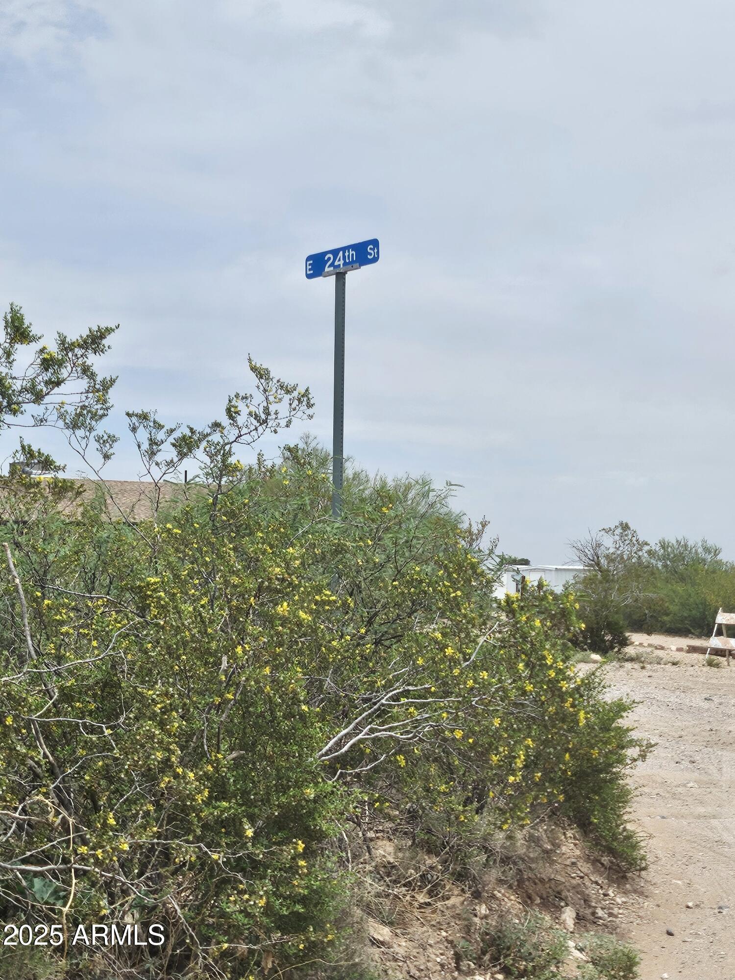 0 To Be Determined Douglas, AZ 85607 - Photo 6 of 6 a close up of a tree in a yard