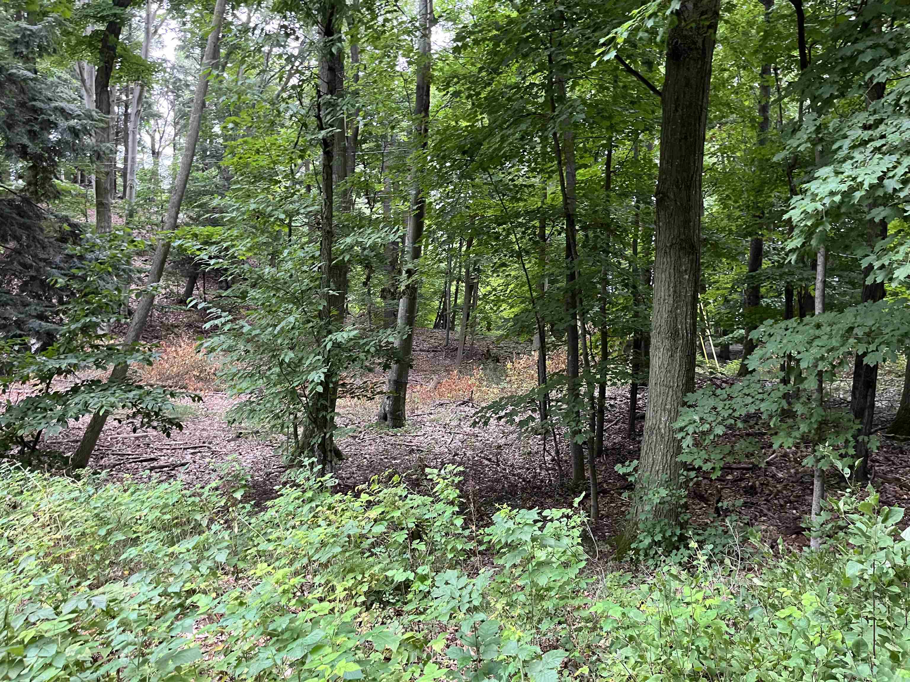 7 Beach Road Frankfort, MI 49635 - Photo 11 of 15