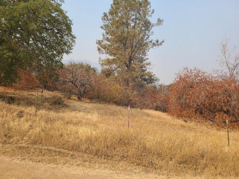 35290 Lodge Road Tollhouse, CA 93667 - Photo 13 of 14 Gallery Image 13