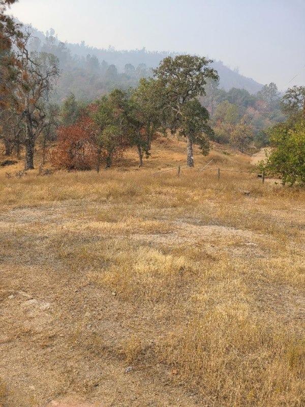 35290 Lodge Road Tollhouse, CA 93667 - Photo 14 of 14 Gallery Image 14