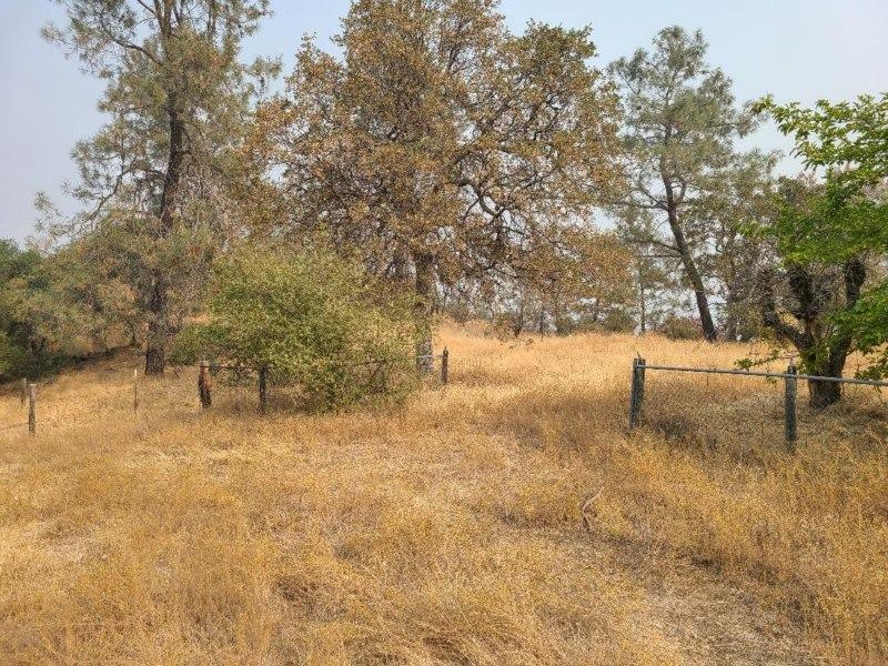 35290 Lodge Road Tollhouse, CA 93667 - Photo 3 of 14 Gallery Image 3
