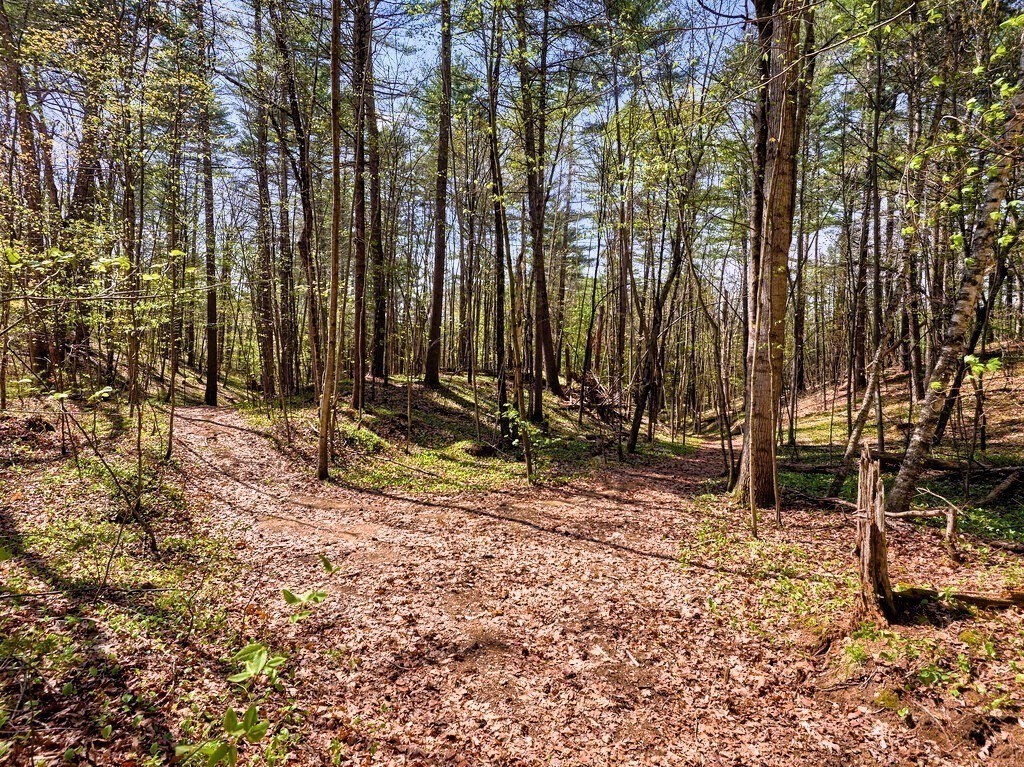 0 Southbridge Road Warren, MA 01083 - Photo 13 of 19 Gallery Image 13