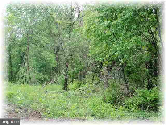 56 Blacksnake Road Duncannon, PA 17020 - Photo 3 of 11 Gallery Image 3