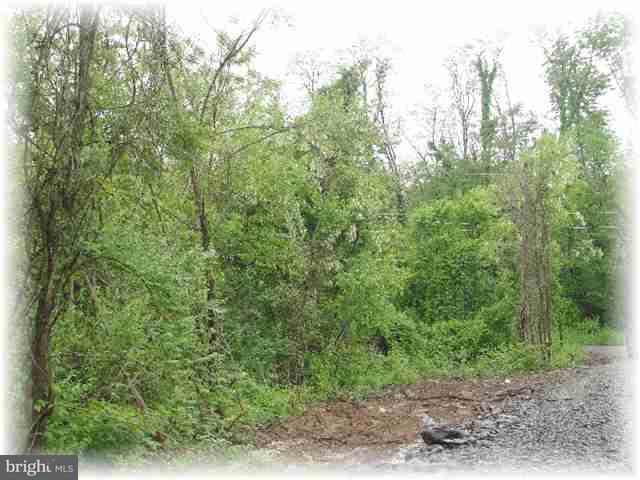 56 Blacksnake Road Duncannon, PA 17020 - Photo 7 of 11 Gallery Image 7