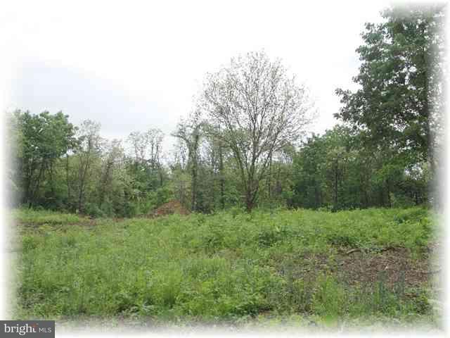 56 Blacksnake Road Duncannon, PA 17020 - Photo 10 of 11 Gallery Image 10