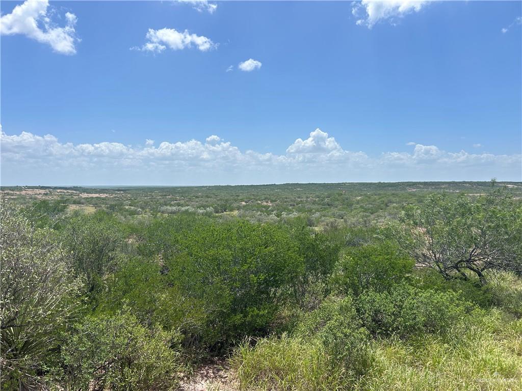 Tbd Alejandrenas Road Zapata, TX 78076 - Photo 4 of 6