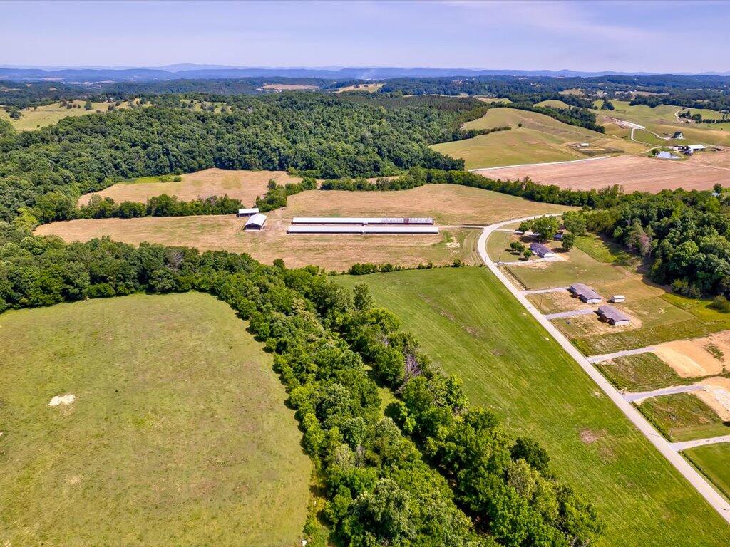 3205 Little Chuckey Road Mosheim, TN 37818 - Photo 23 of 26 3205 Little Chuckey Rd - 24